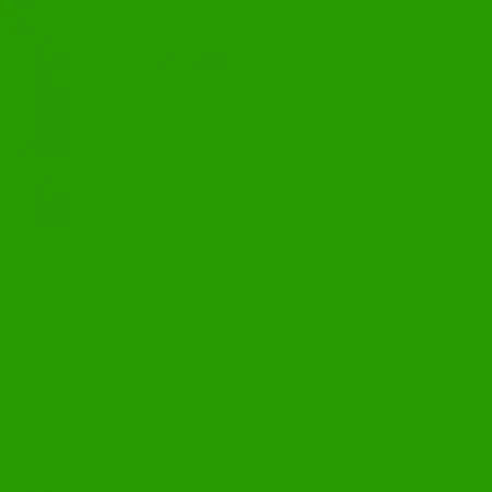 StyleTech Apple Green 12