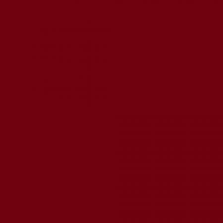 StyleTech Burgundy 12