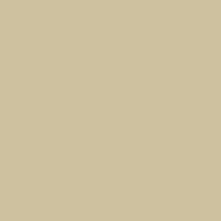 StyleTech Sand 12