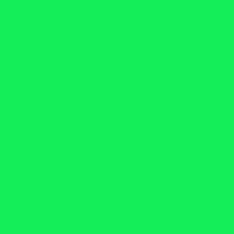 Green Fluorescent 12