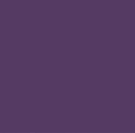 StyleTech Violet 12